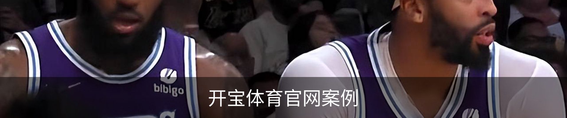 开宝体育官网案例