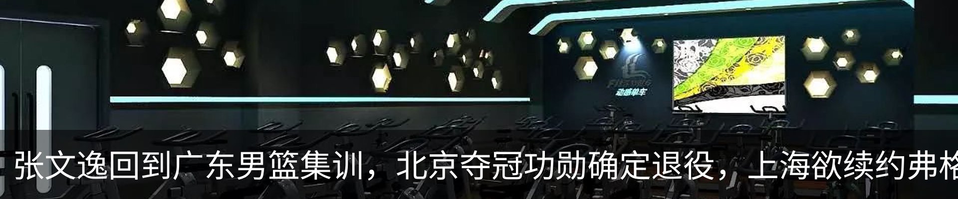 最新动态